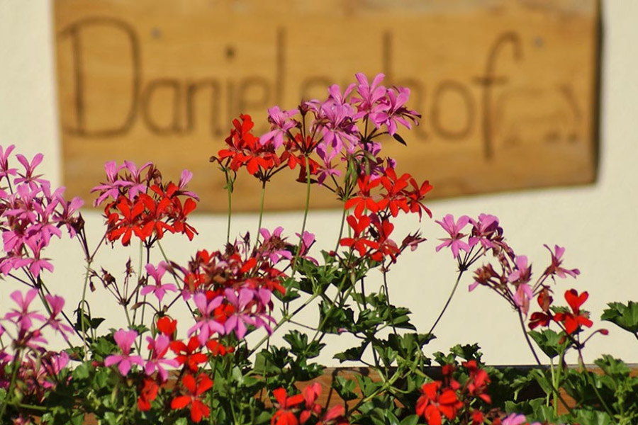 Ferienwohnungen in Freiamt im Schwarzwald