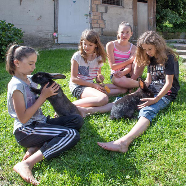 Kinder streicheln Hasen