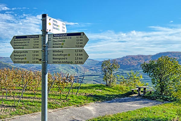 Wandern und Radfahren am Kaiserstuhl
