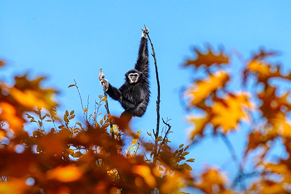 Tierpark Mundenhof bei Freiburg