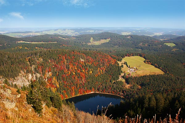 Blick auf den Feldsee vom Feldberg aus
