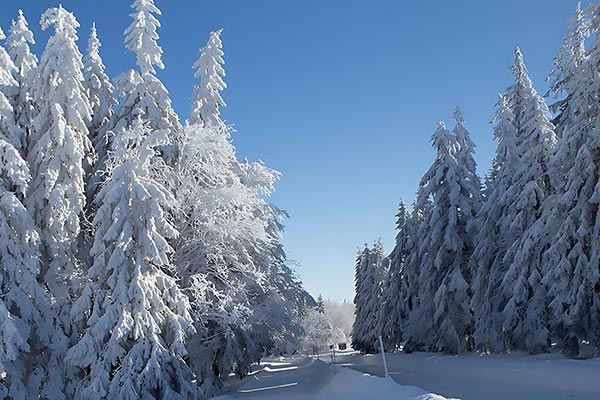 Winter im Schwarzwald